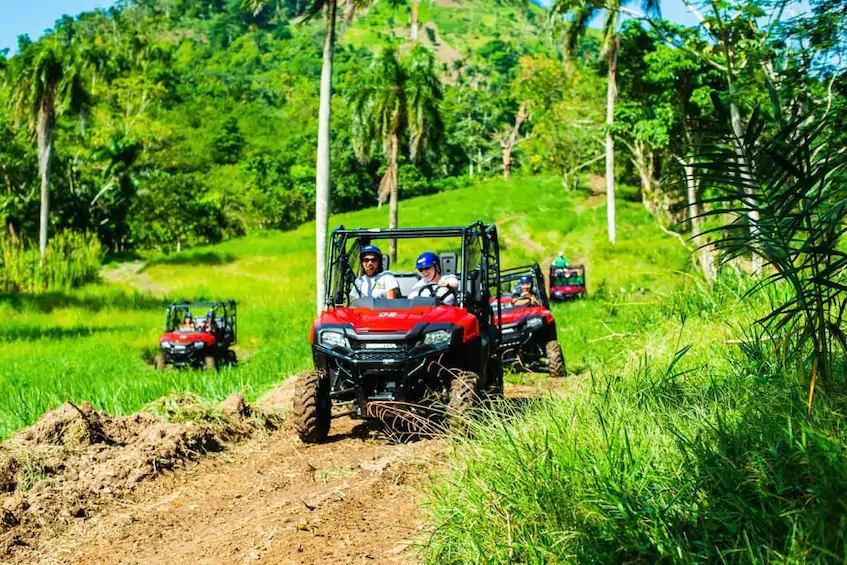 jungle buggy