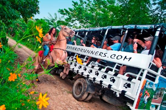 safari bavaro runners 2