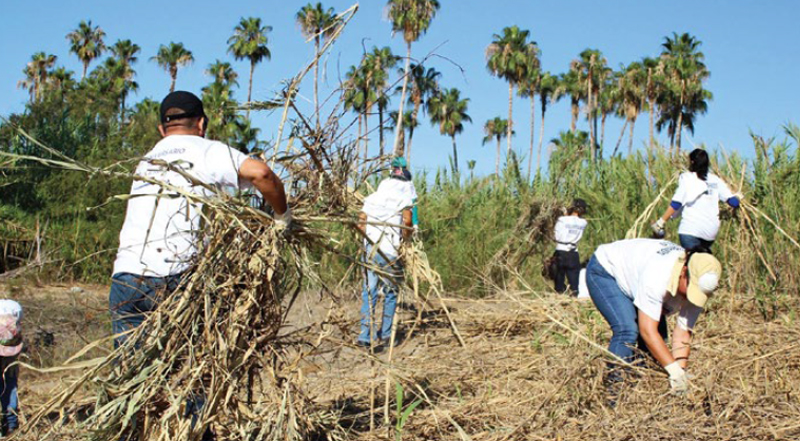 Wetlands Restoration Thumbnail