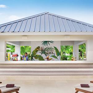 Las Palmas Swim-Up Bar service at Dreams La Romana.
