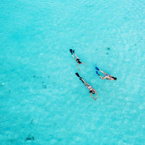 Dreams La Romana snorkeling.