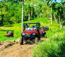 jungle buggy