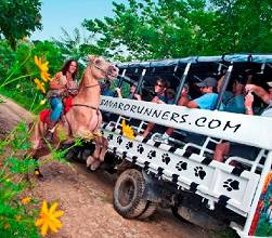 safari bavaro runners 2