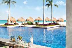 Hyatt Ziva Cancun Sips & Dips Swim Up Bar.