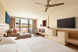 Hyatt Ziva Cancun Dolphin View Master King Roo.