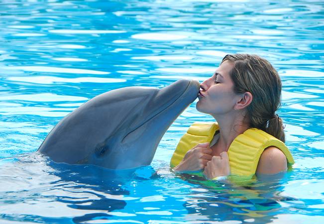 sunscape cancun destination dolphin